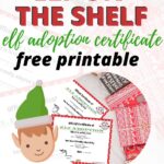 This image is showing a certificate of adoption for an Elf on the Shelf.