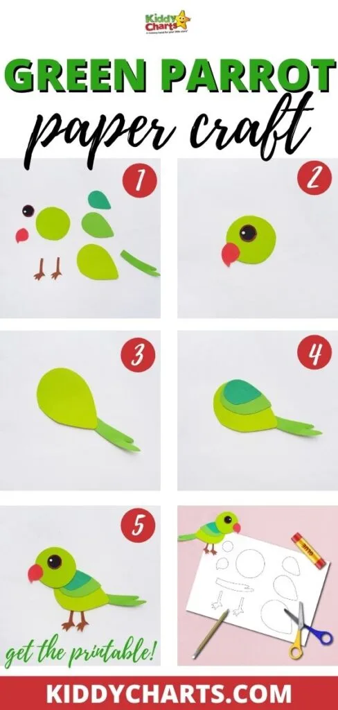 Green parrot paper craft