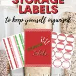 This image is offering free storage labels to help people stay organized by downloading them from the website www.kiddycharts.com.