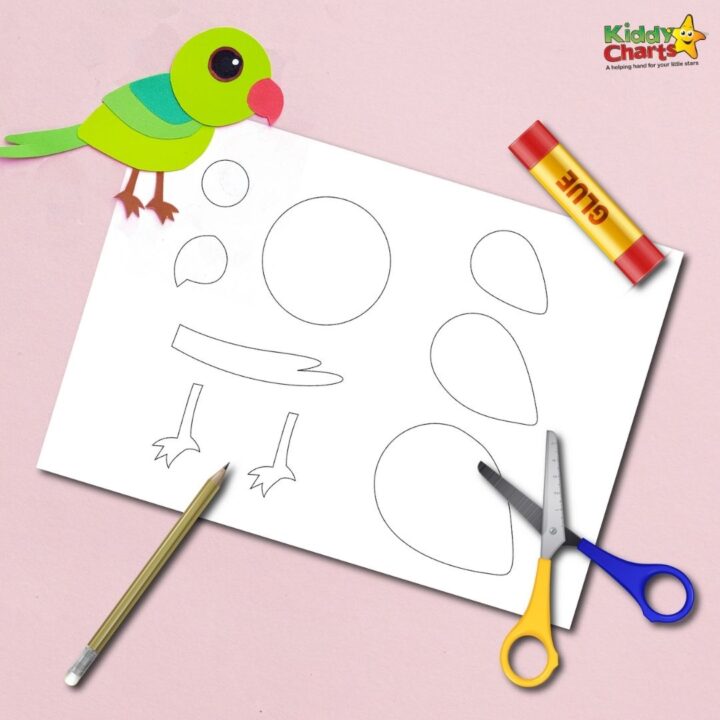 A child is illustrating a bird with office supplies and stationery tools such as scissors and glue.