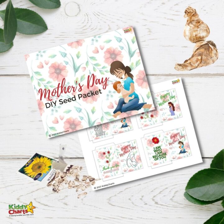 This image is celebrating Mother's Day with a DIY seed packet and a message of appreciation for mothers.