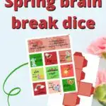 This image is advertising a customizable set of dice with a variety of brain break activities for children to choose from.