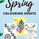 The image is of a coloring sheet featuring spring-themed flowers, available for download from the website www.kiddycharts.com.