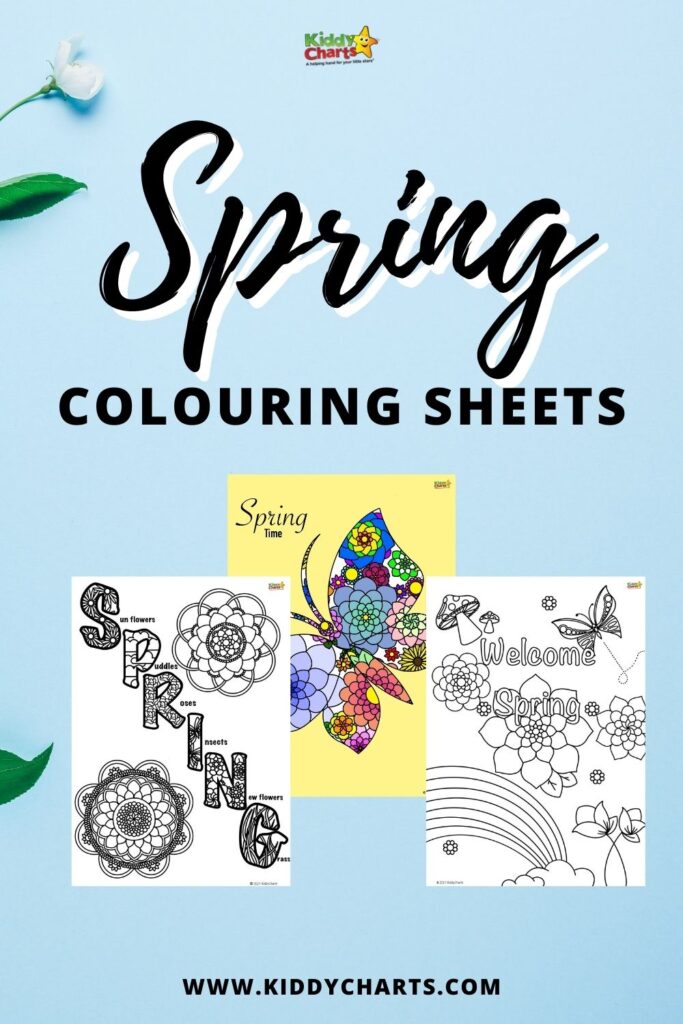 Spring coloring Pages