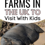 This image is promoting 10 city farms in the UK that are suitable for visiting with kids.