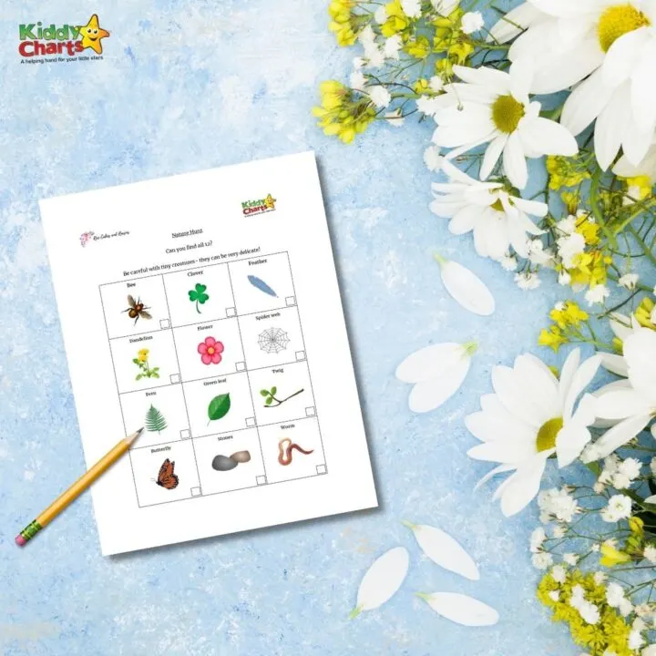 A child is exploring nature and discovering twelve different elements, including a clover, feather, dandelion flower, spider web, green leaf, bitterly stones, and a worm.
