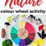 This image shows a nature-themed color wheel activity from the website ThimbleandTwig.com for KiddyCharts.com.