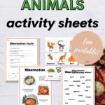 In this image, a list of animals that hibernate during winter is provided, along with a link to a website with free printable activity sheets about hibernation facts.