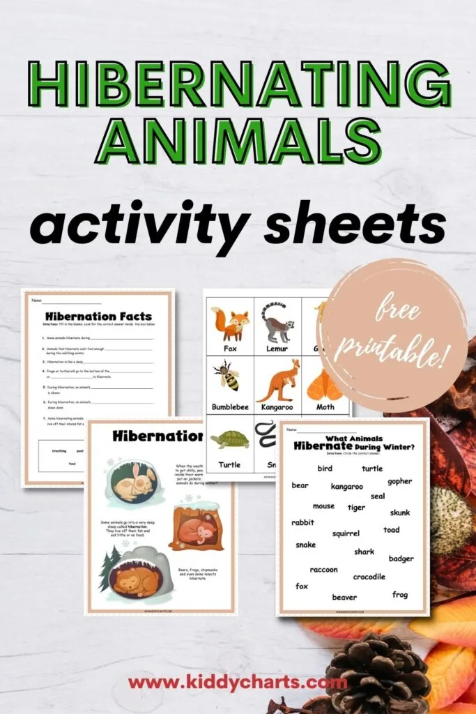 Hibernating animals activity sheets