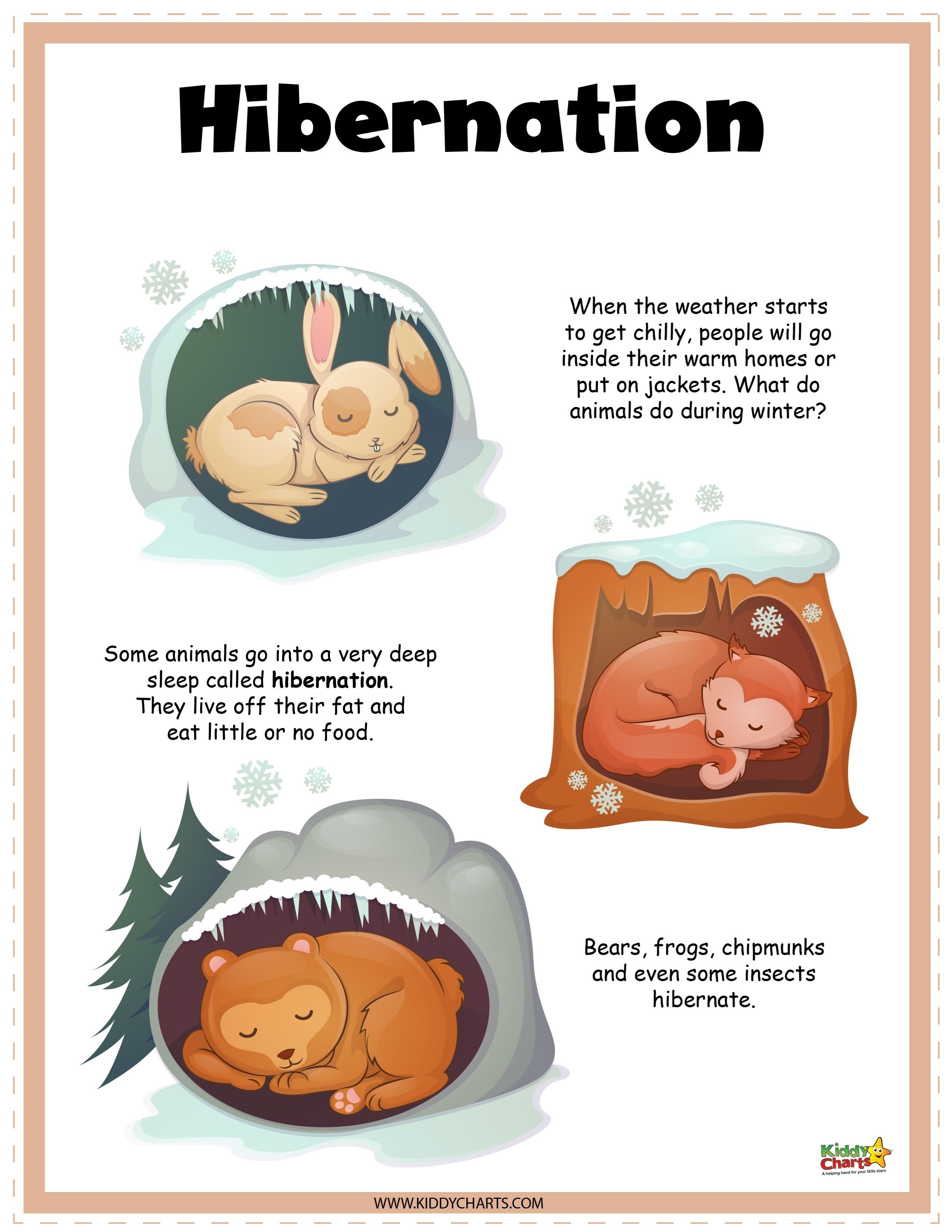 Hibernation Printable For Kids