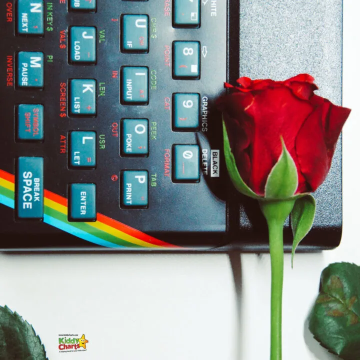 A red rose stands in front of a black computer screen.