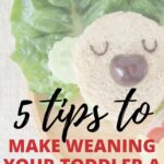 The image is providing five tips to make weaning a toddler from breastfeeding or bottle-feeding easier.