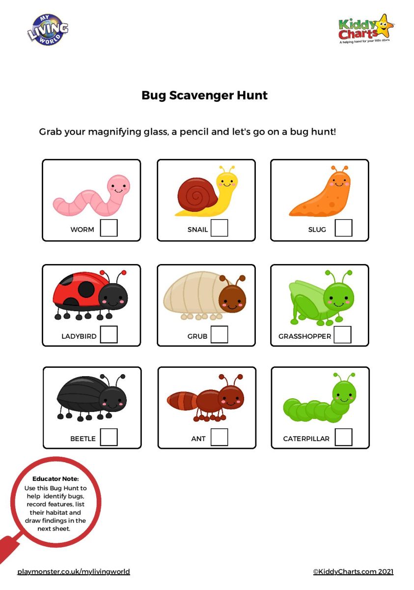 Bugweek Worksheet Bug Worksheets with My Living World - kiddycharts.com