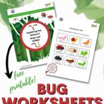 In this image, Kiddy Charts is offering activities, resources, and printables for teachers and parents to help their kids explore the world of bugs.