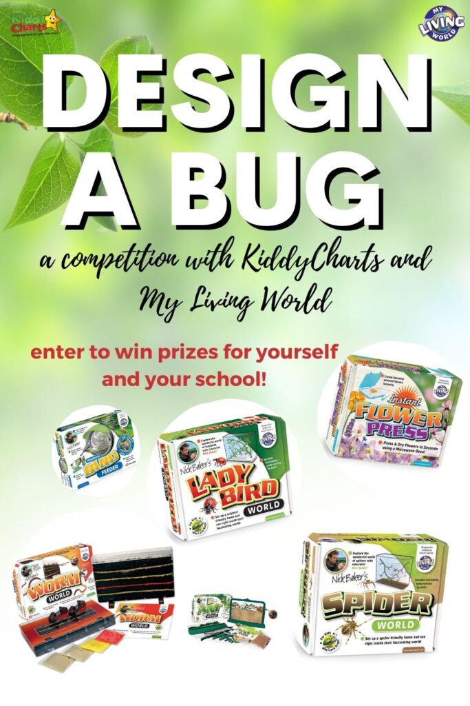Brand New, illustrated instruction manual My Living World Bug Safari 