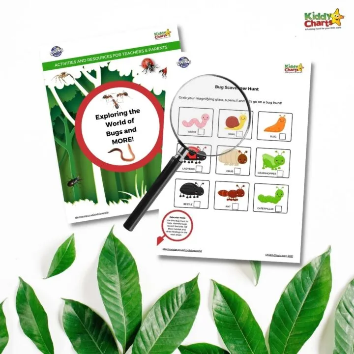 This image is promoting a bug scavenger hunt activity for teachers and parents to do with their children, to help them identify and learn about different types of bugs.