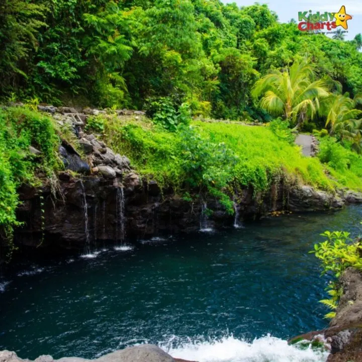 A waterfall cascades down a river surrounded by lush vegetation in a natural landscape, providing a beautiful view for travelers.