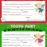 This image is a certificate to certify that the Tooth Fairy has collected a tooth from a person and rewarded them with an amount of money.