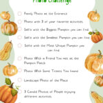 A family is participating in a pumpkin patch photo challenge, taking pictures of themselves and their surroundings with different types of pumpkins.