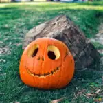 A carved pumpkin sits on the grass.