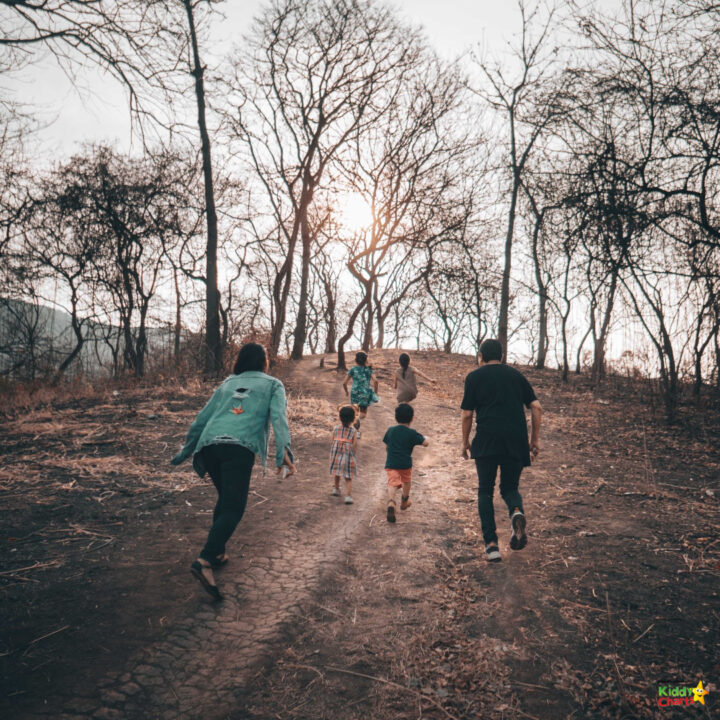 A group walks down a dirt path lined with trees.