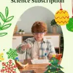 A child is testing a MEL Science subscription to see if it will burn.