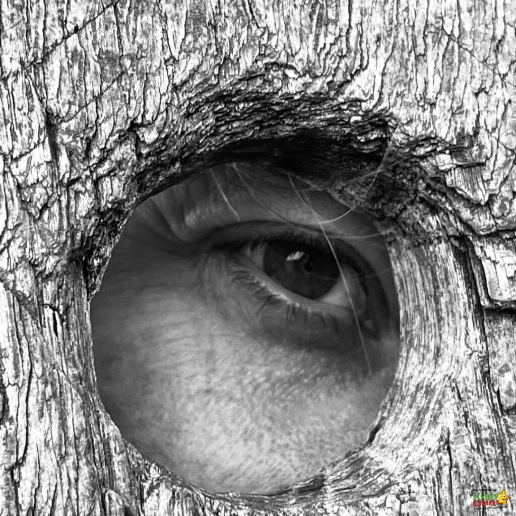 A black and white tree stands outdoors with a hole in its trunk, its eyes gazing into the distance.