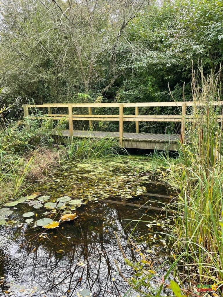 The wooden bridge spans the stream.