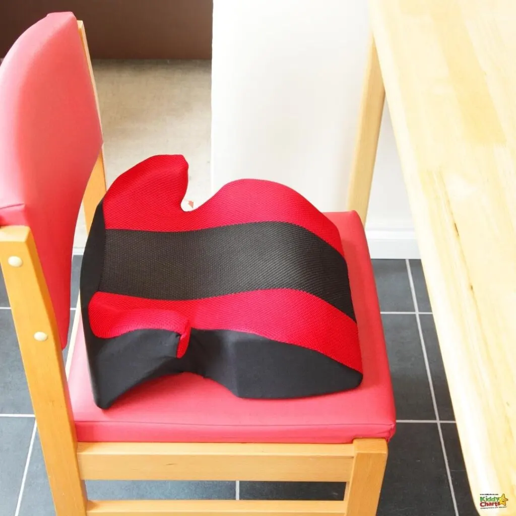 Booster Seat – to help reach the table
