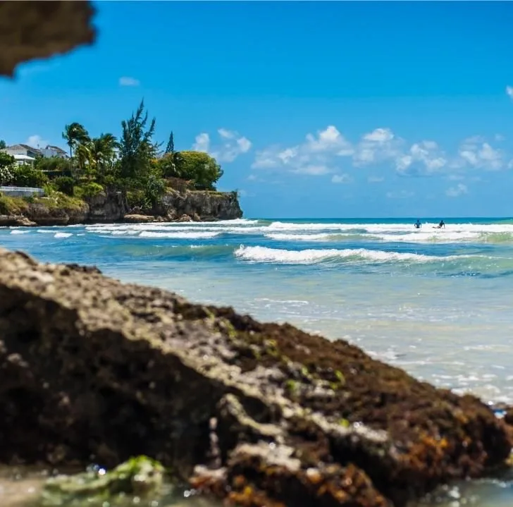 A lush tropical landscape of azure waters, rocky bays, sandy beaches, and lush trees along the Caribbean coast creates a stunning oceanic view.