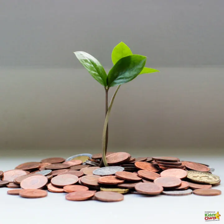 A small plant is growing out of a pile of coins.