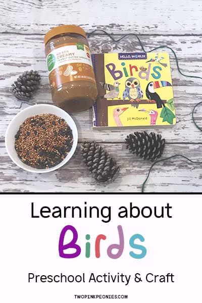 The image shows children engaging in a preschool activity and craft related to learning about birds.