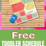 This image is a suggested daily schedule for toddlers, with tips to encourage learning.