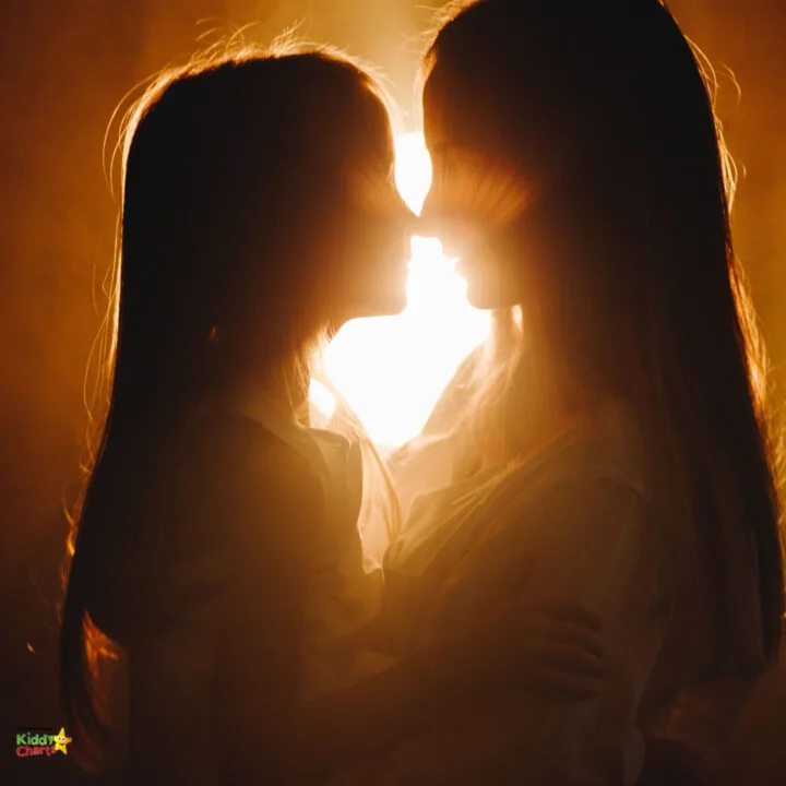A person in a silhouette is passionately kissing their partner in the warm amber light of the setting sun.
