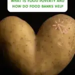 A russet burbank potato tuber sits atop a pile of root vegetables in an image highlighting the importance of food banks in combating food poverty.