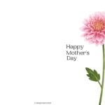 A vibrant flower with text reading "Happy Mother's Day @ KiddyCharts 2023" is blooming with its petals spread wide.