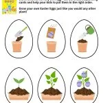 The image is showing how to help children sequence bunny cards to grow their own Easter eggs, just like any other plant.