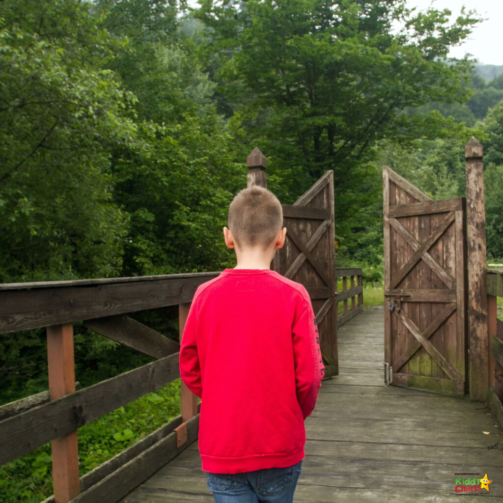 A person stands on a bridge.