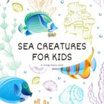 The image is promoting KiddyCharts, a website providing resources to help children learn about sea creatures in preparation for 2023.
