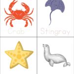 A child is drawing marine invertebrates, including a crab, stingray, starfish, and sea lion, in a colorful clipart illustration.