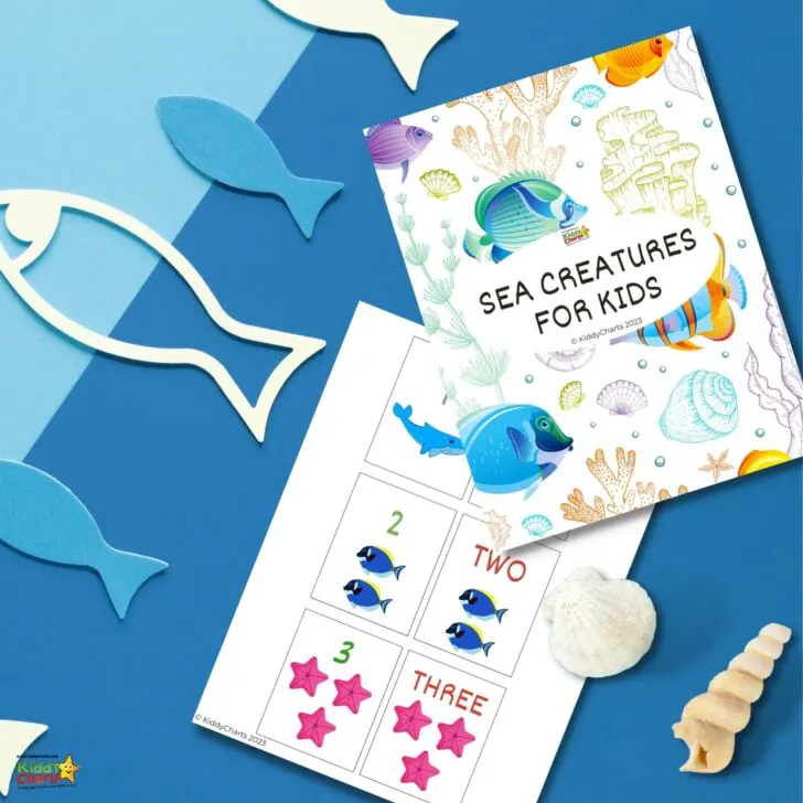 This image is showing a chart with various sea creatures for kids to learn about in the year 2023 from the website KiddyCharts.