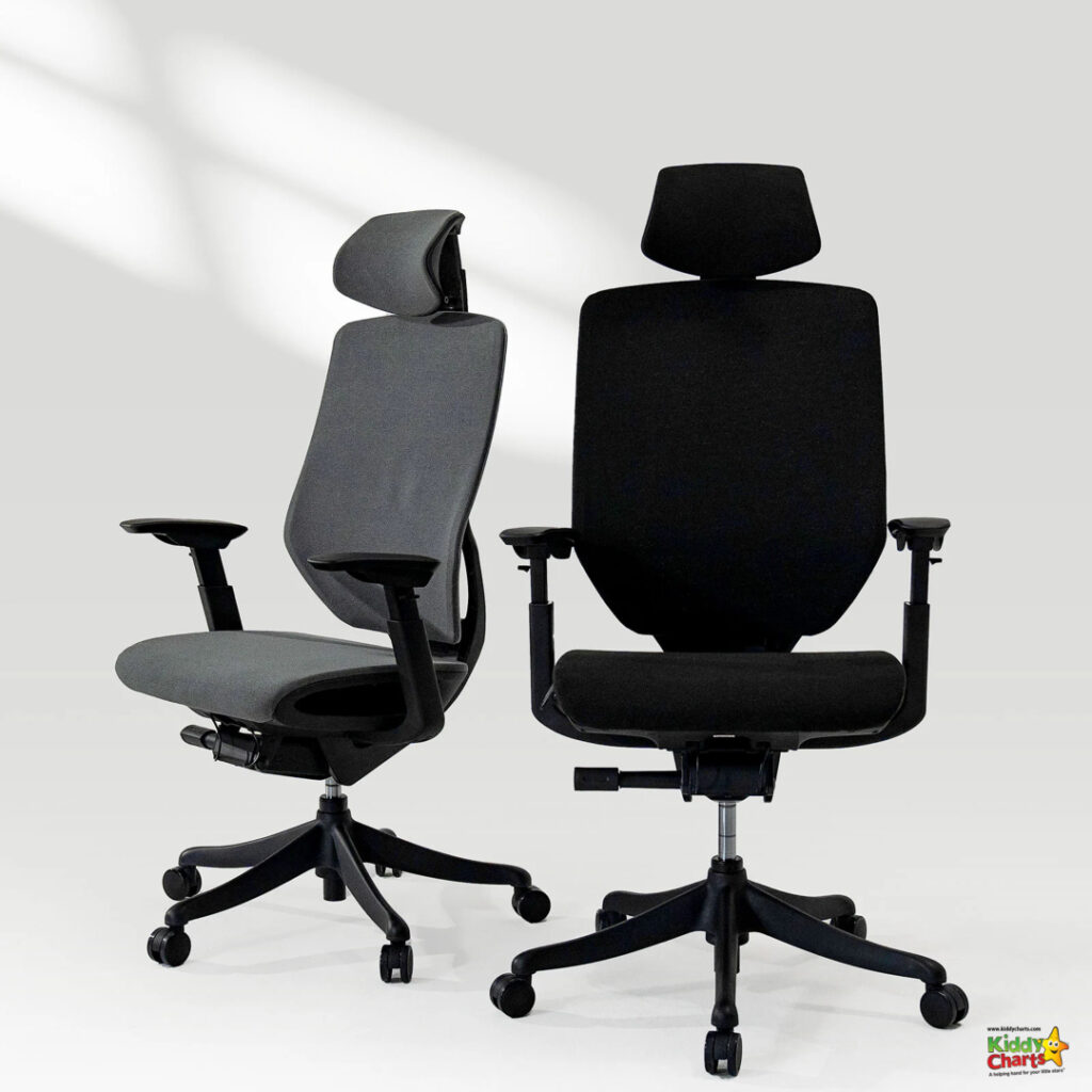 Two black office chairs sit side by side.