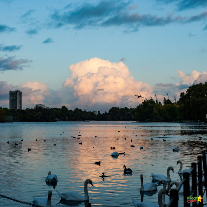 The sun is setting over the lake, creating a beautiful landscape of clouds, trees, birds, and aquatic animals in the sky and water.