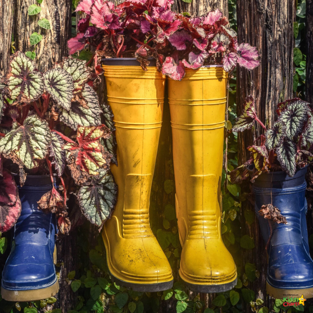 A yellow boot is planted in the outdoor soil, holding a vibrant yellow flower.