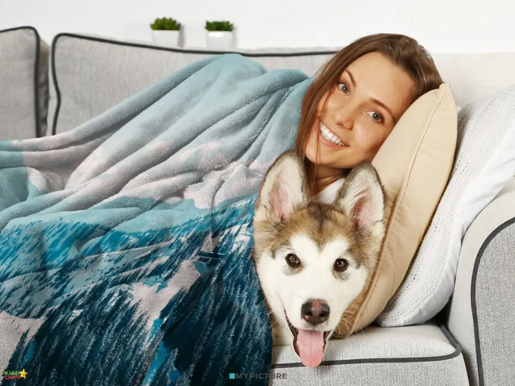 A smiling person and a husky dog snuggled under a blue blanket on a gray couch, with plants in the background. The atmosphere is cozy and happy.