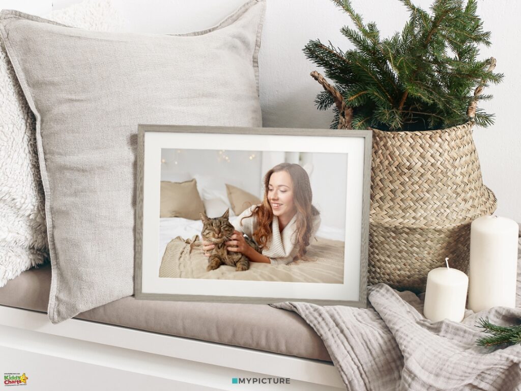 A framed photo of a smiling person holding a cat is displayed on a shelf with pillows, a woven basket with greenery, and candles.