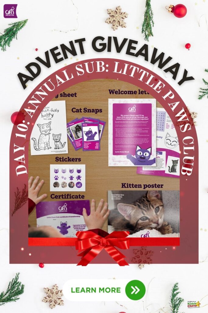 This image depicts an advertisement for a Cat Advent Giveaway featuring an annual subscription to the Little Paws Club, decorated with festive holiday elements.
