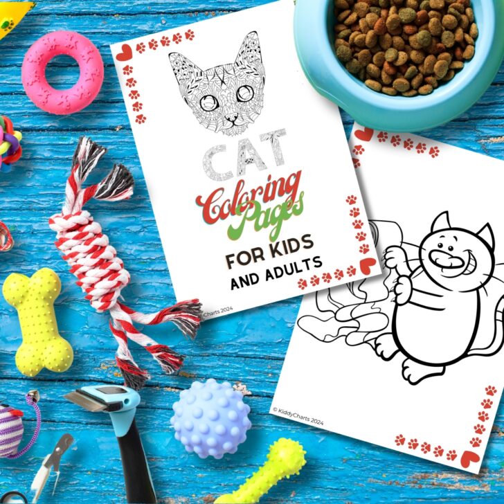 The image shows cat-themed coloring pages with pet toys and a bowl of cat food on a blue wooden surface.