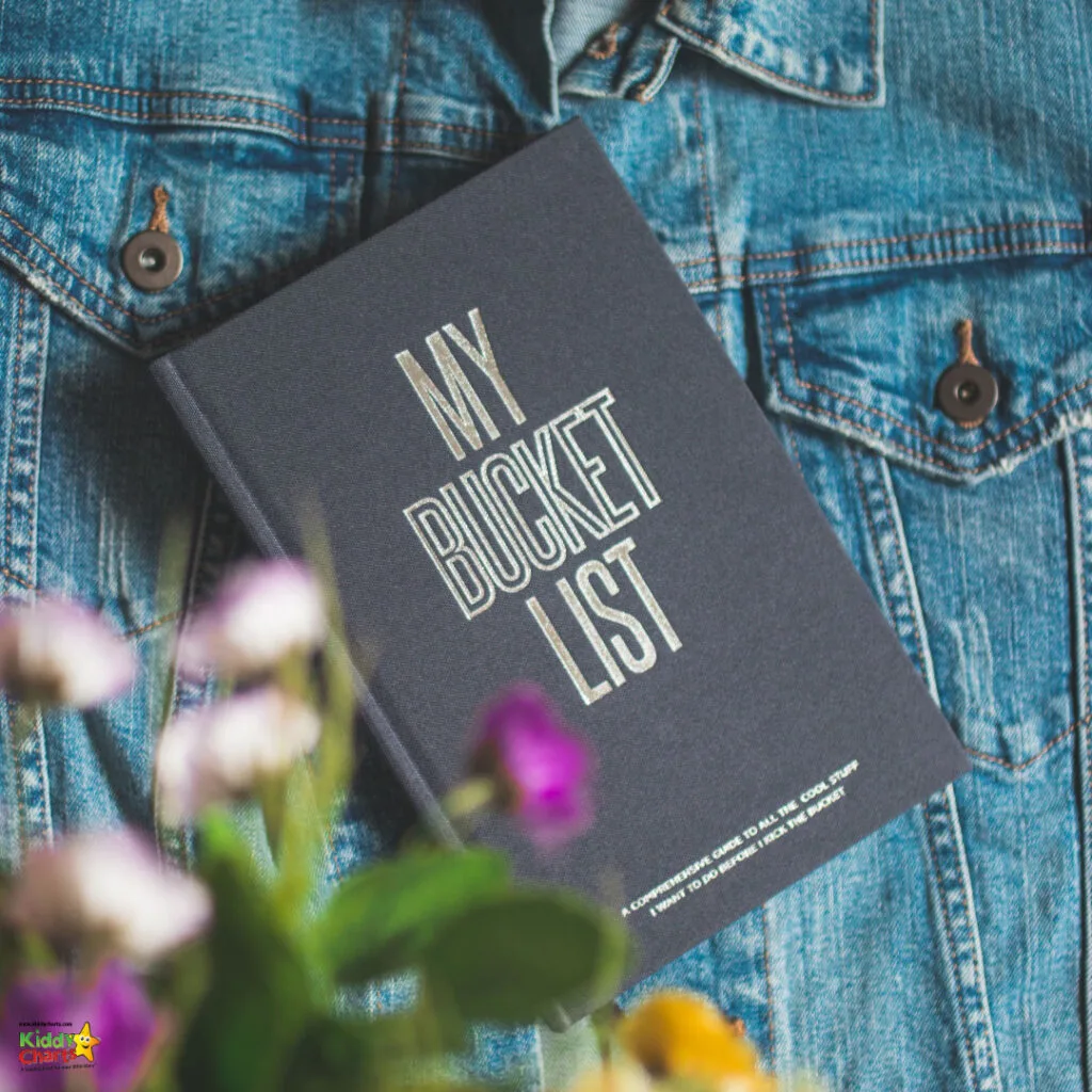 A book titled "MY BUCKET LIST" rests on a denim jacket. Flowers with pink and yellow hues blur in the foreground, creating a colorful, inspirational scene.