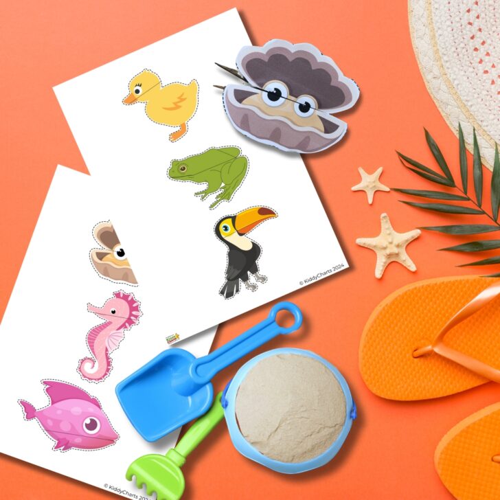 The image shows colorful cut-out illustrations of animals, a cloud with glasses, summery items like a hat, flip-flops, and beach toys on an orange background.